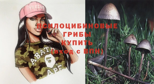 COCAINE Горнозаводск