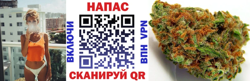 Конопля планчик  Купить где  Лысково 